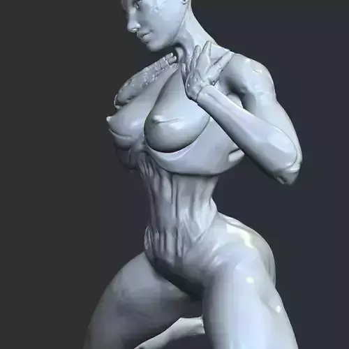 Lewd Half-Cyborg Female Hentai 3D Printable Figurine