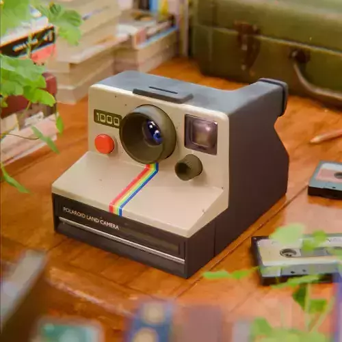 Polaroid Camera