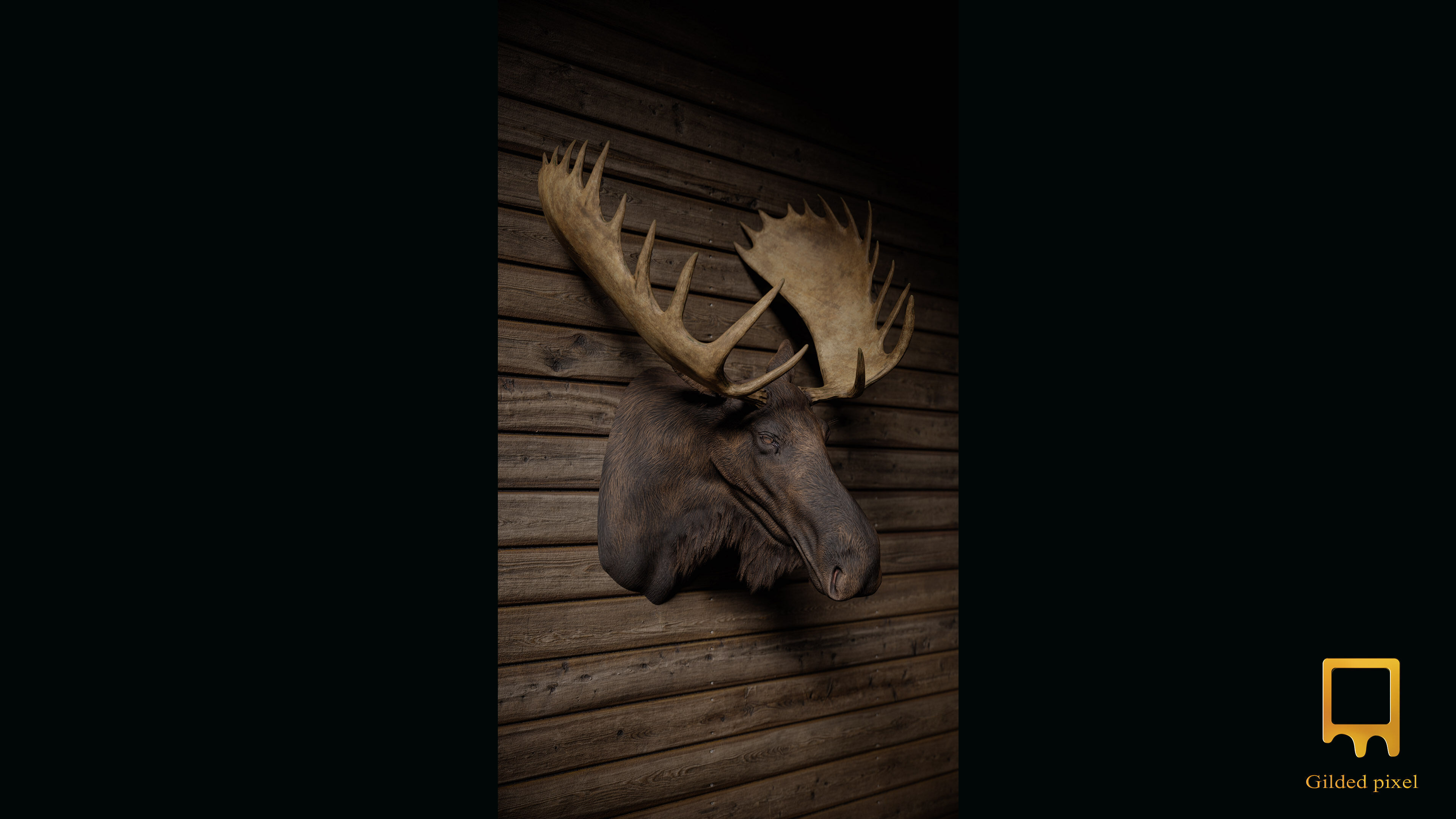 Moose Trophy Head - Photorealistic PBR  Low-poly 3D model_2