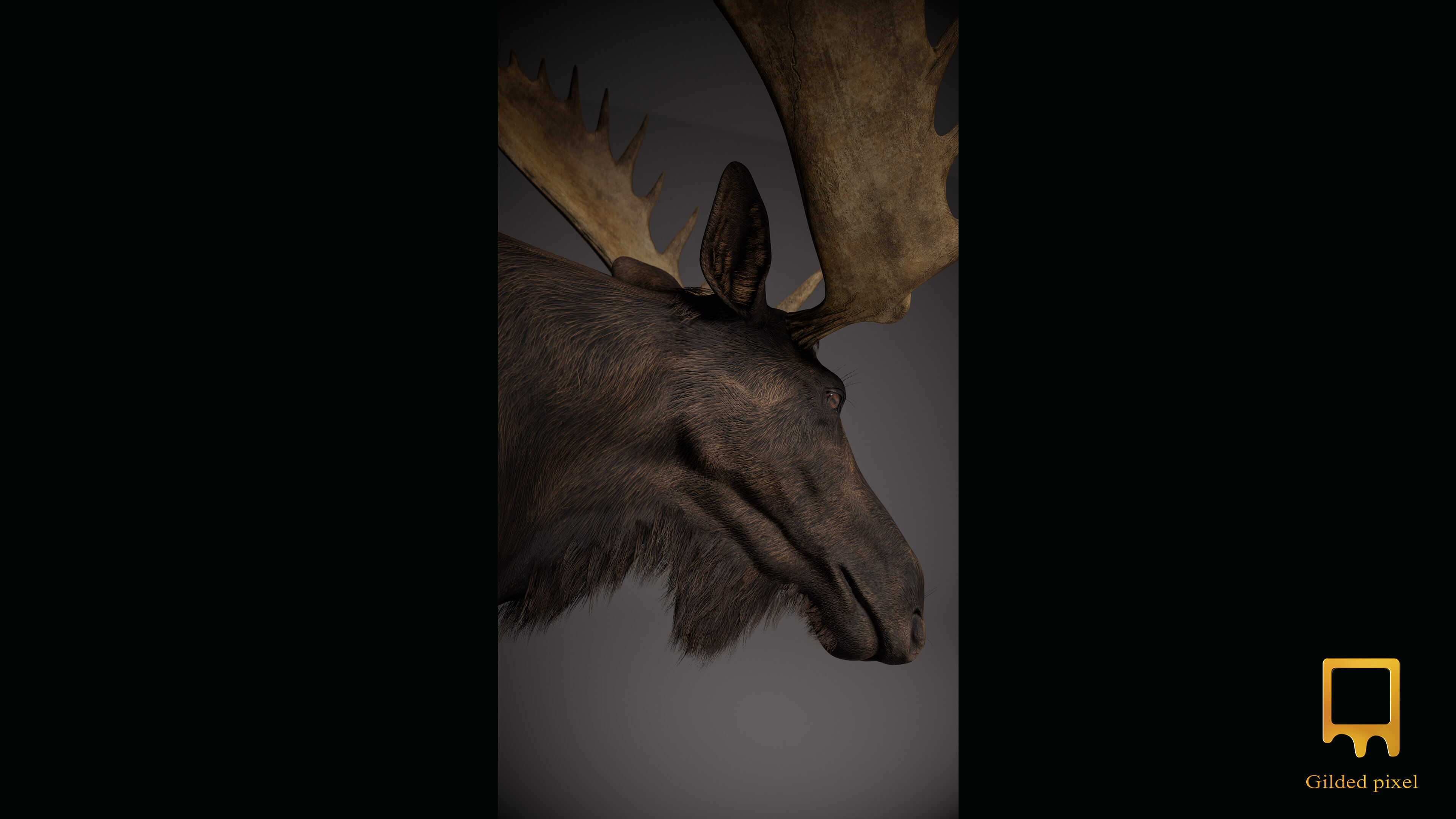 Moose Trophy Head - Photorealistic PBR  Low-poly 3D model_7