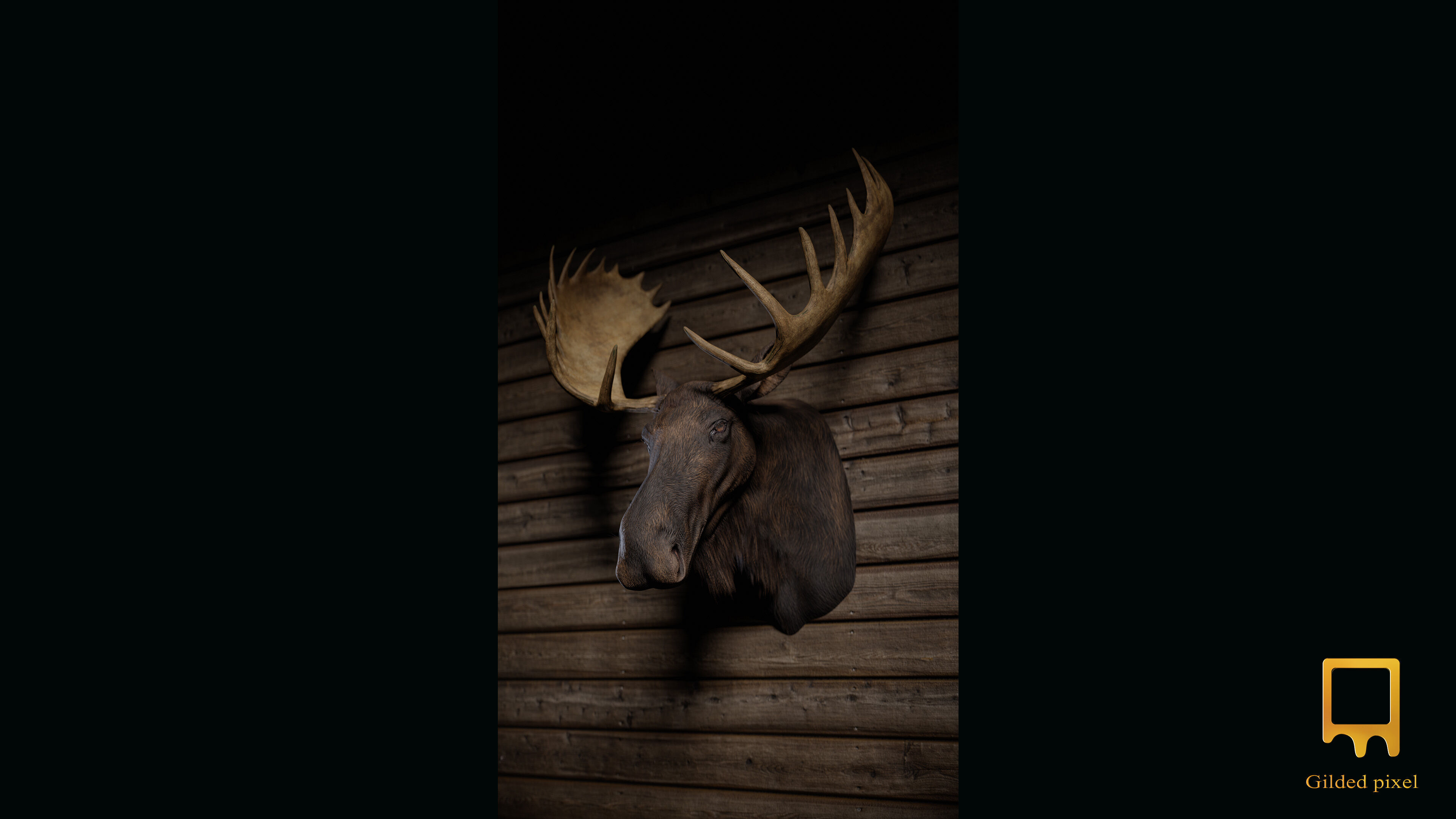 Moose Trophy Head - Photorealistic PBR  Low-poly 3D model_3