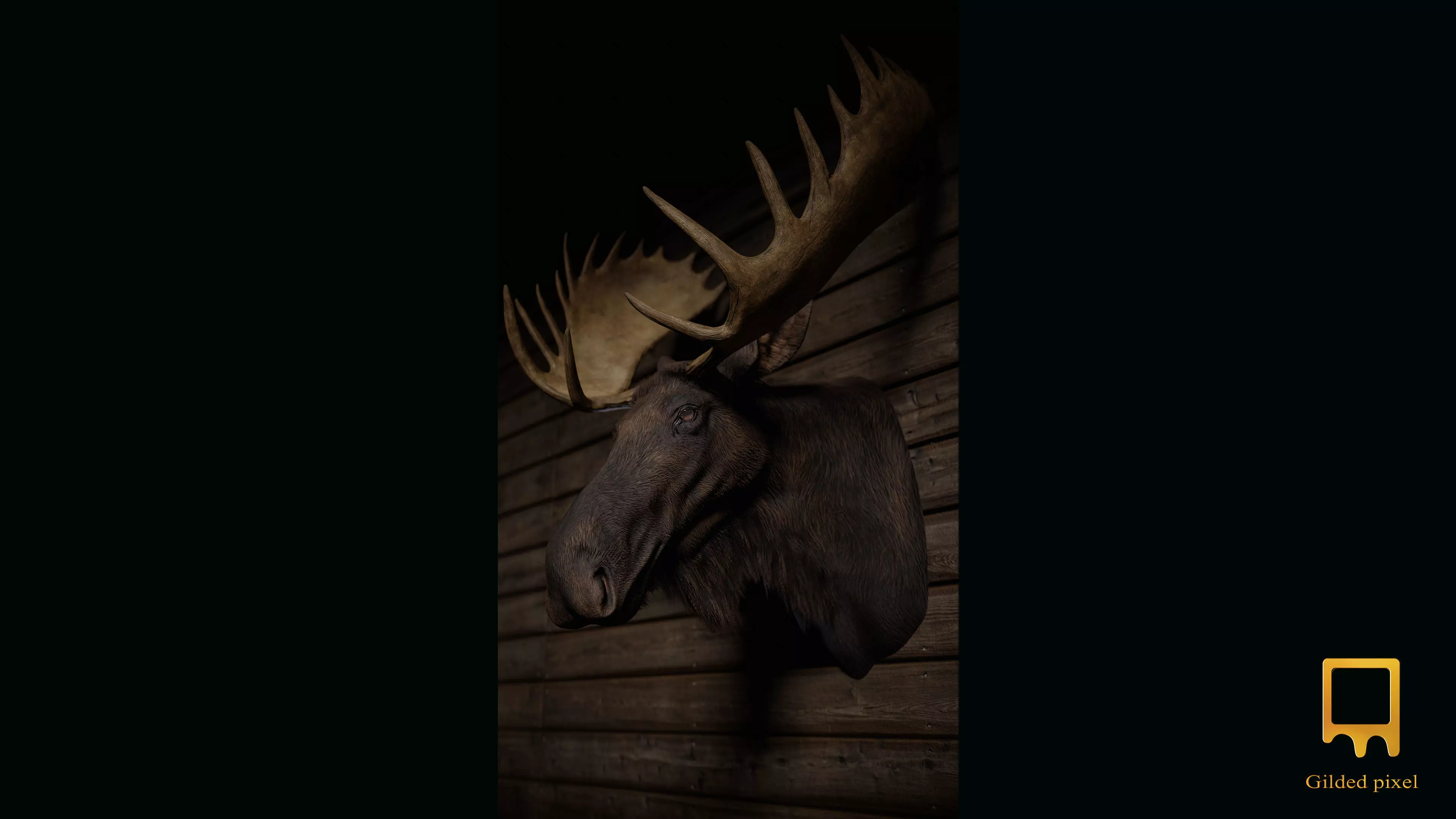 Moose Trophy Head - Photorealistic PBR  Low-poly 3D model_0