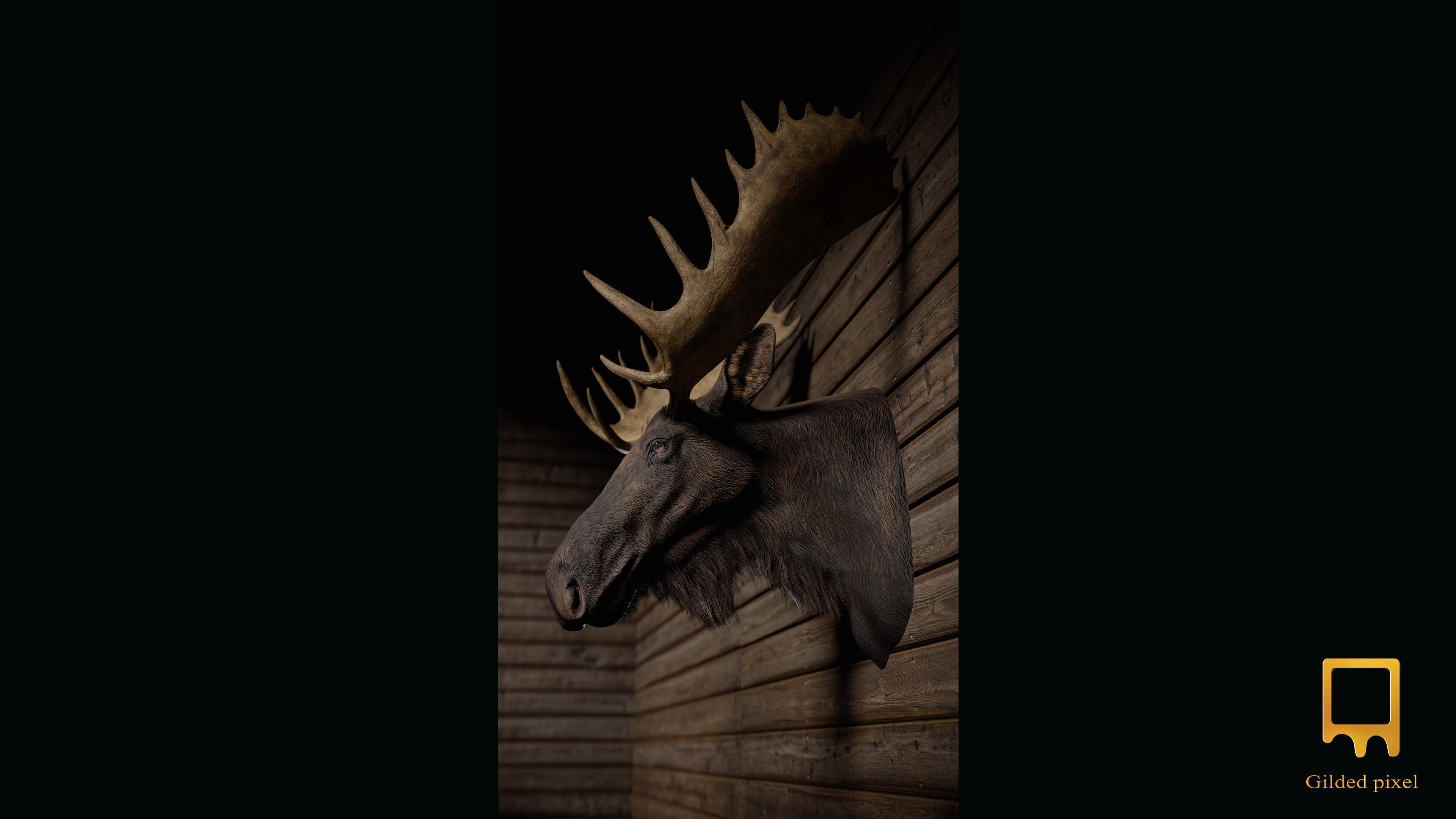 Moose Trophy Head - Photorealistic PBR  Low-poly 3D model_4