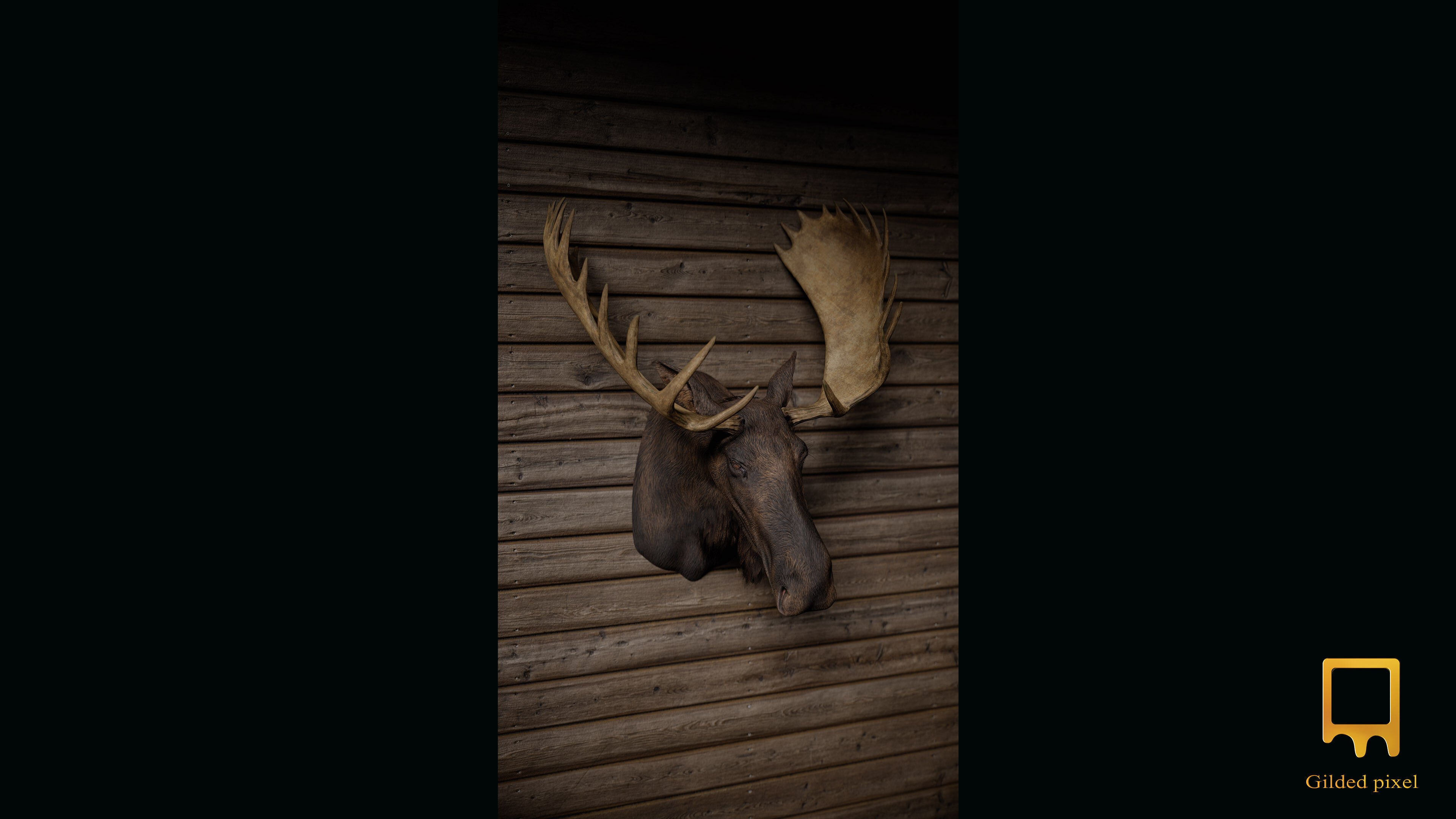 Moose Trophy Head - Photorealistic PBR  Low-poly 3D model_5