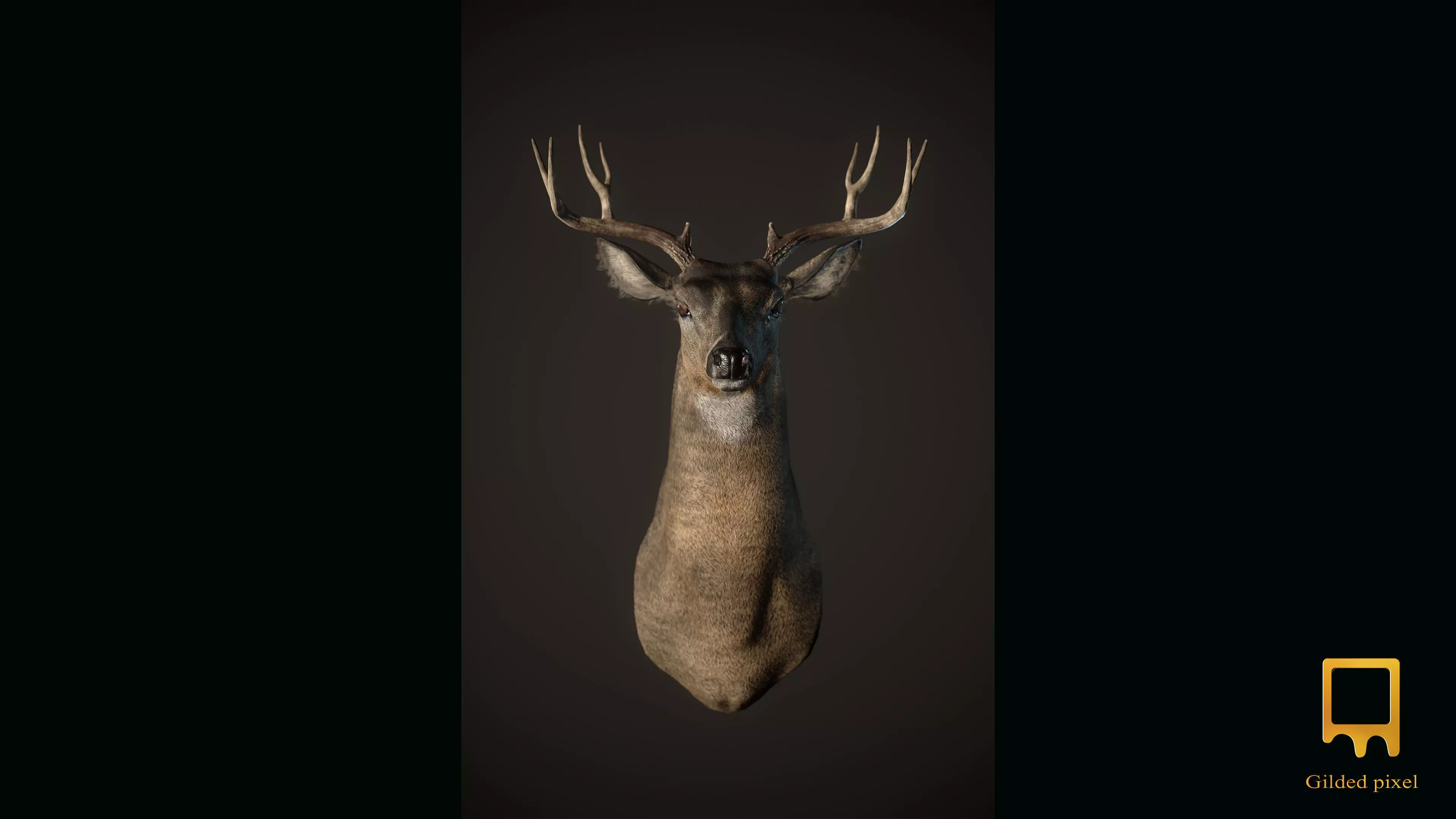 Deer Trophy Head - Photorealistic PBR Low-poly 3D model_0