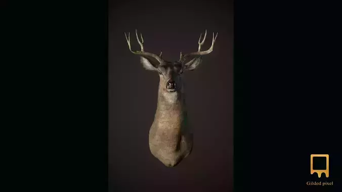 Deer Trophy Head - Photorealistic PBR 