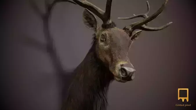 Elk Trophy Head - Photorealistic PBR