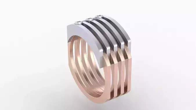 Unisex ring for men and women with stylish design  3D print model