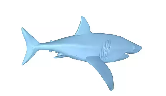 Great White Shark  3D Printable Model STL OBJ