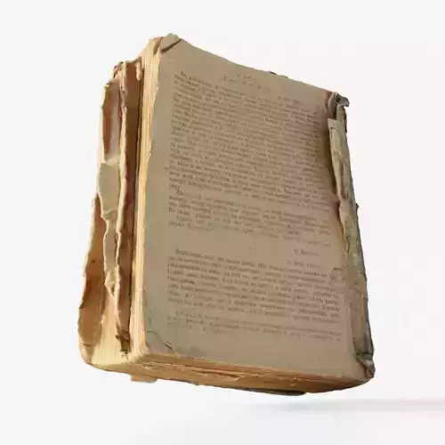 Scanned old damaged book