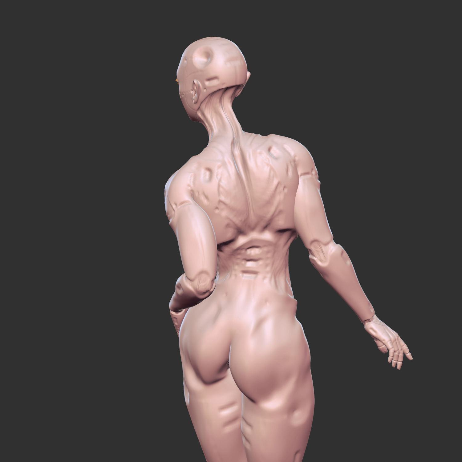 Hot Half-Robot Sci-Fi Babe 3D Model STL 3D print model_2