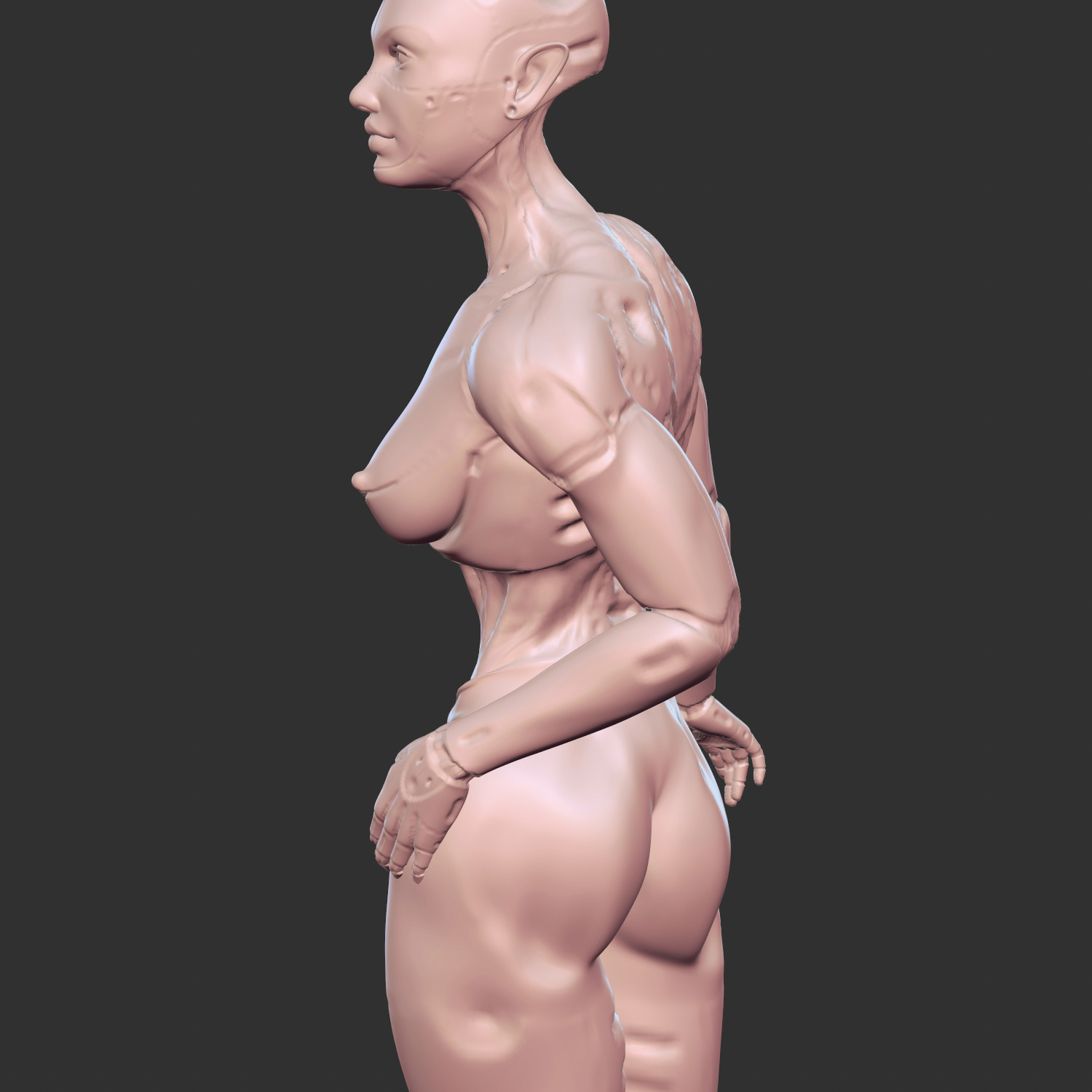 Hot Half-Robot Sci-Fi Babe 3D Model STL 3D print model_3