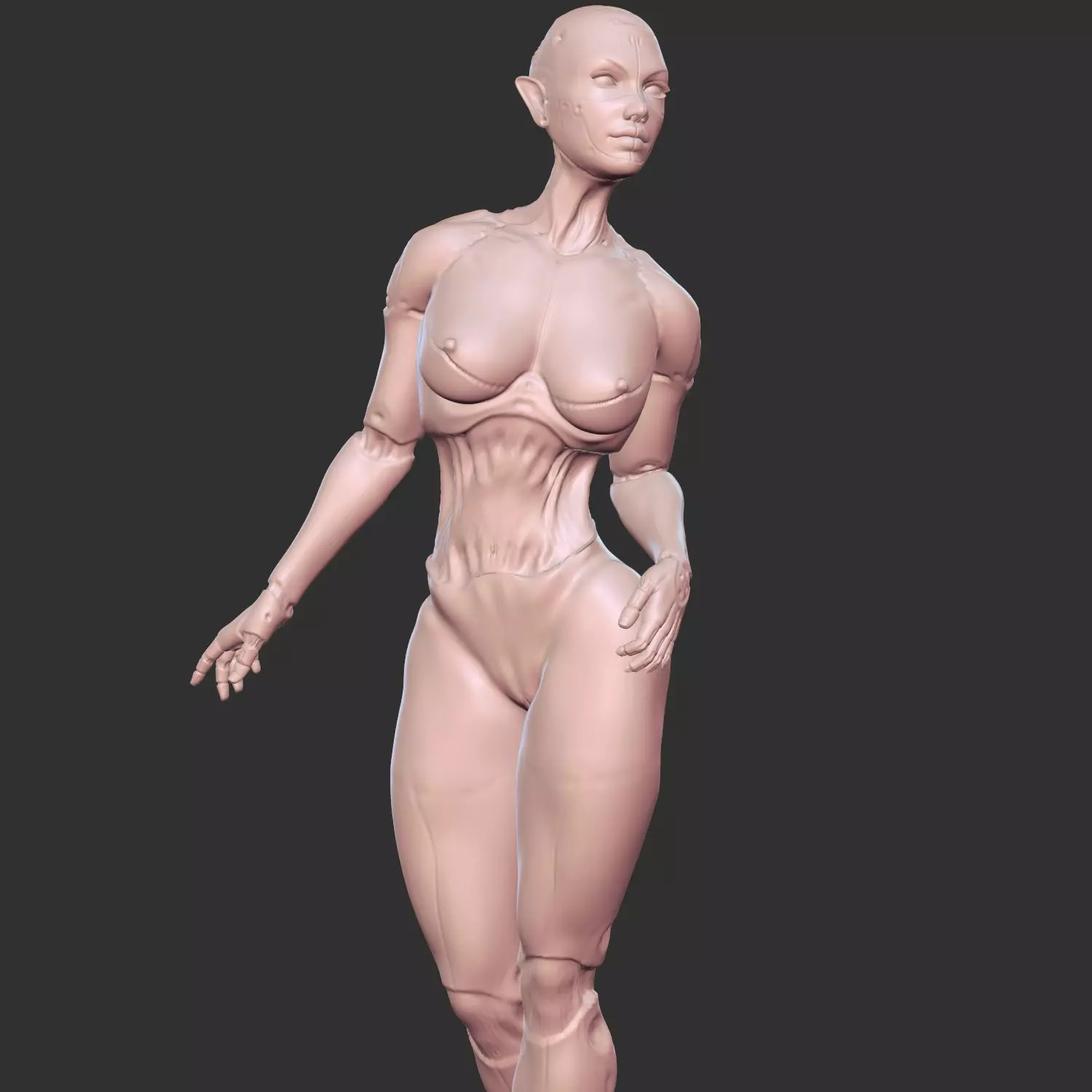 Hot Half-Robot Sci-Fi Babe 3D Model STL 3D print model_0