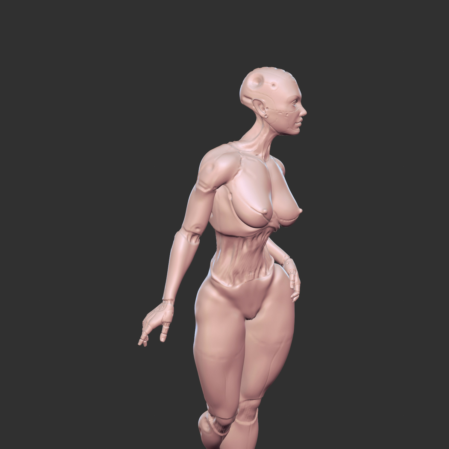 Hot Half-Robot Sci-Fi Babe 3D Model STL 3D print model_1