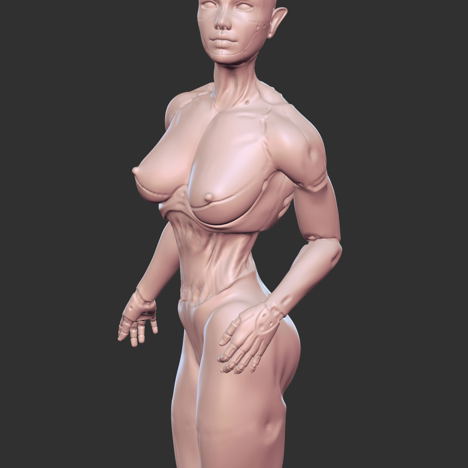 Hot Half-Robot Sci-Fi Babe 3D Model STL 3D print model_4