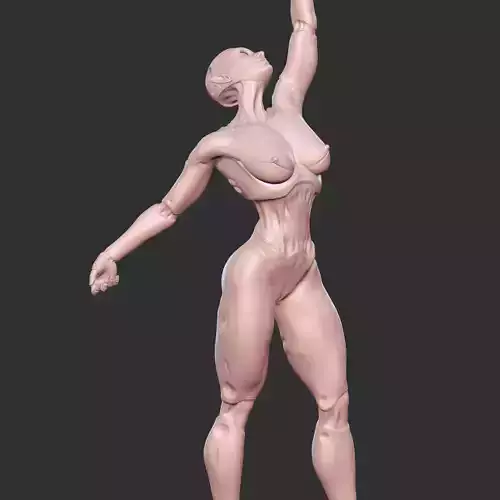 Robo-Girl with Exposed Circuits Lewd 3D Model 3D print model