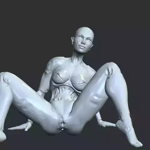 Cyber Waifu in Sensual Pose 3D Model STL