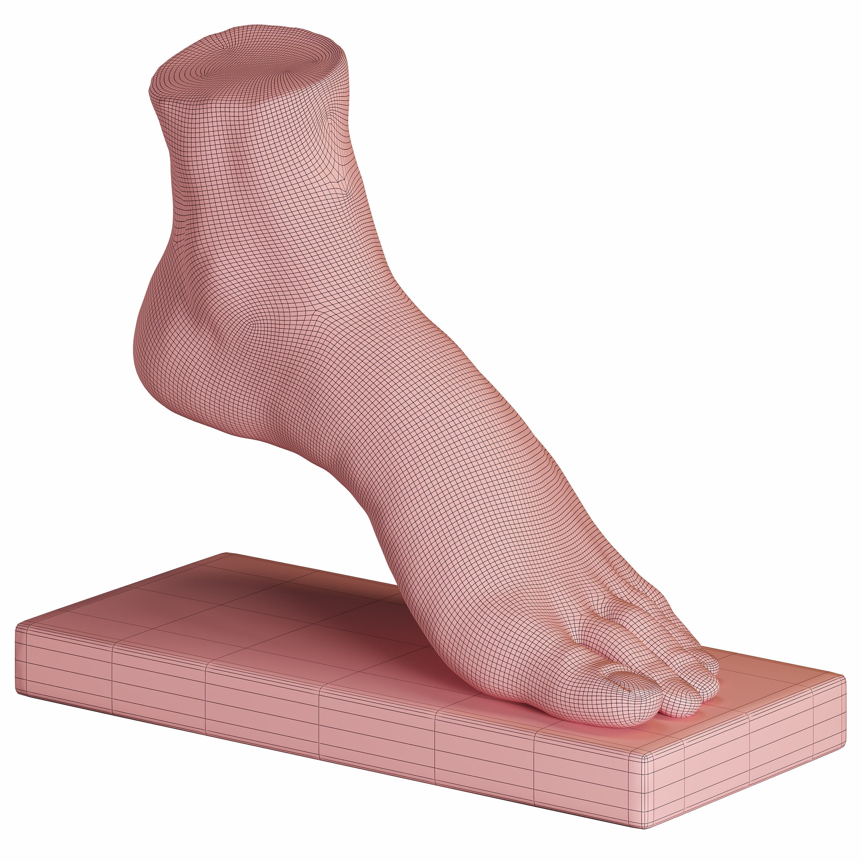 foot sculpture 3D model_5