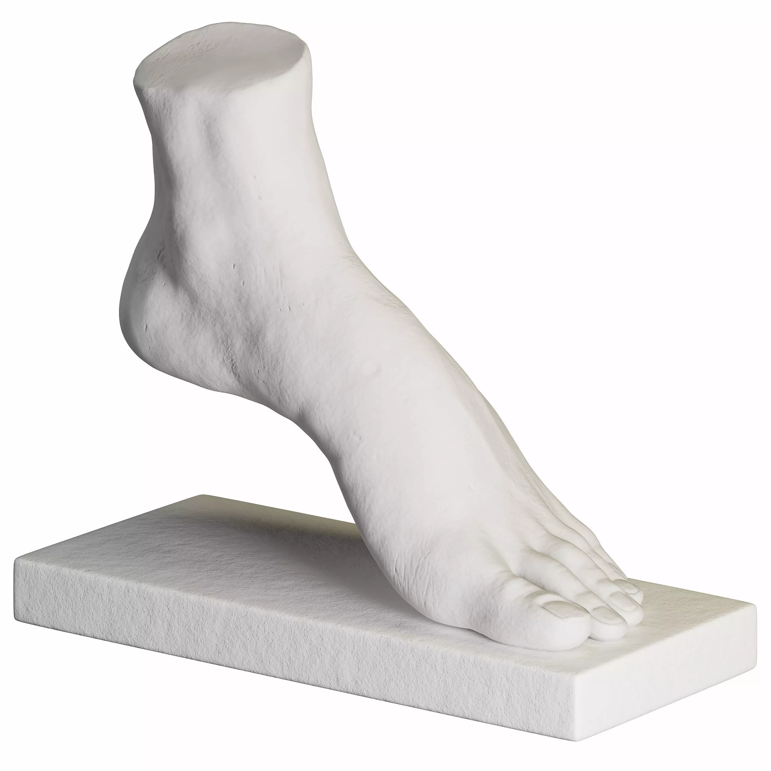 foot sculpture 3D model_0