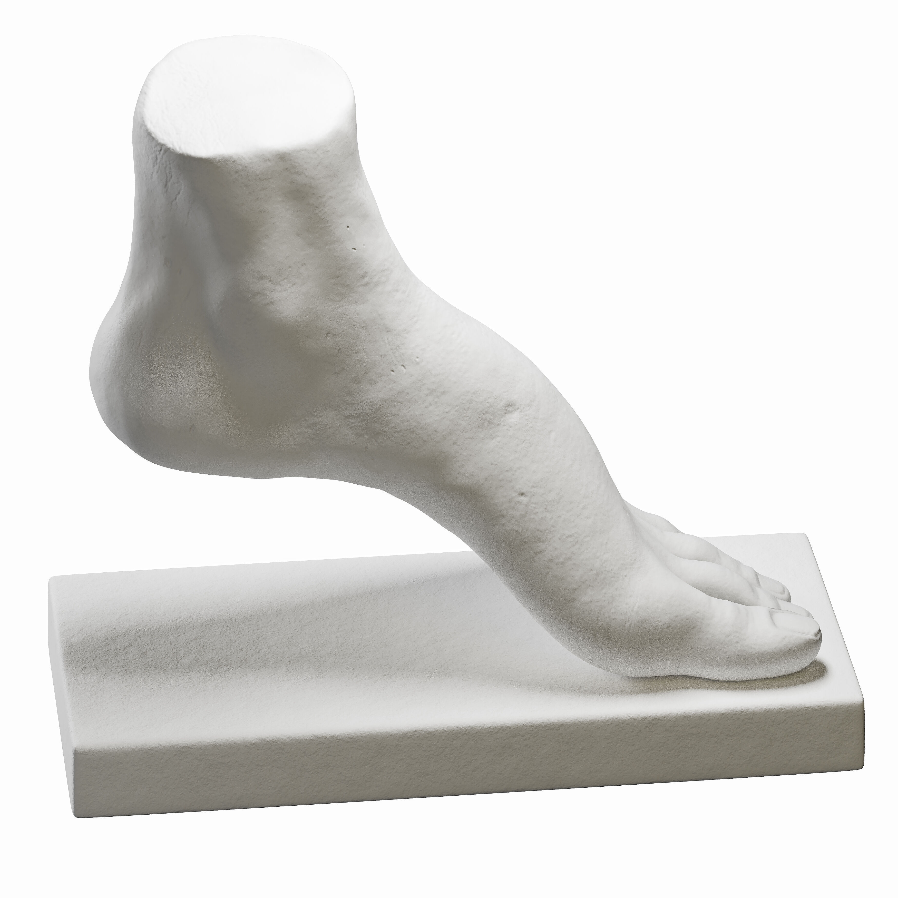 foot sculpture 3D model_3