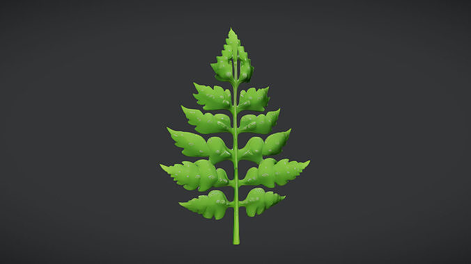 green fern leaf 3D model