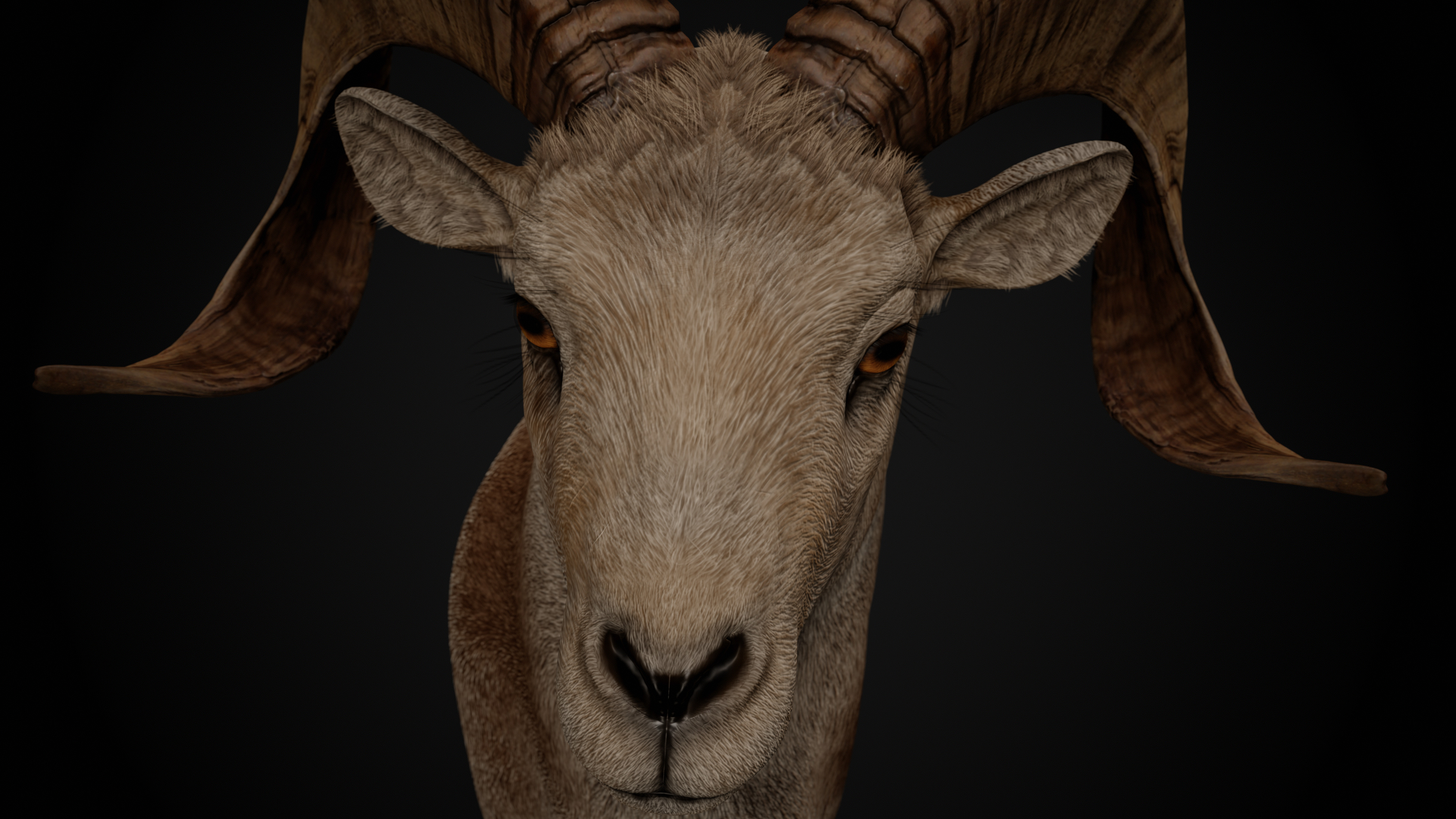 Ram Trophy Head - Photorealistic PBR Low-poly 3D model_10