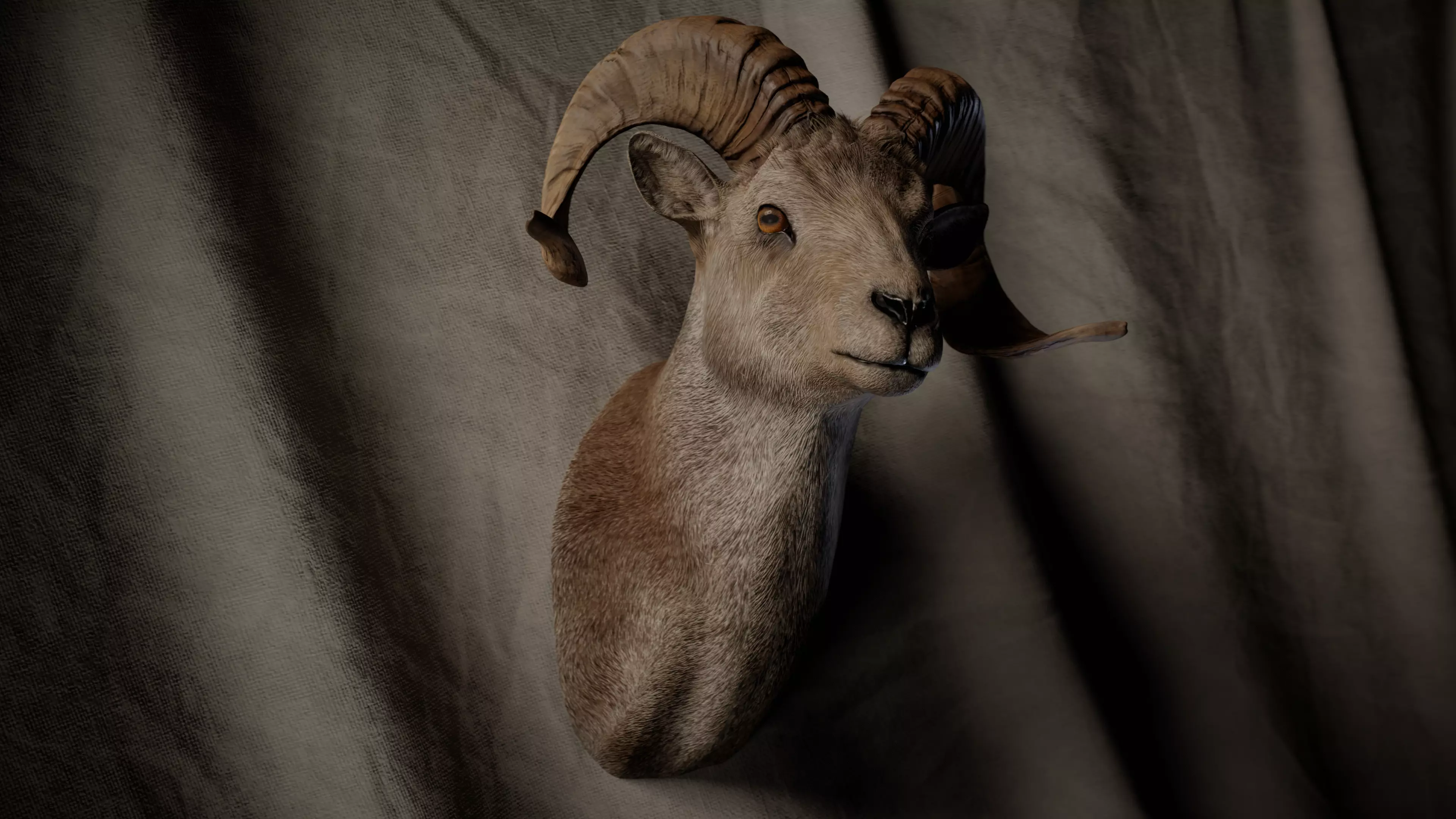 Ram Trophy Head - Photorealistic PBR Low-poly 3D model_0