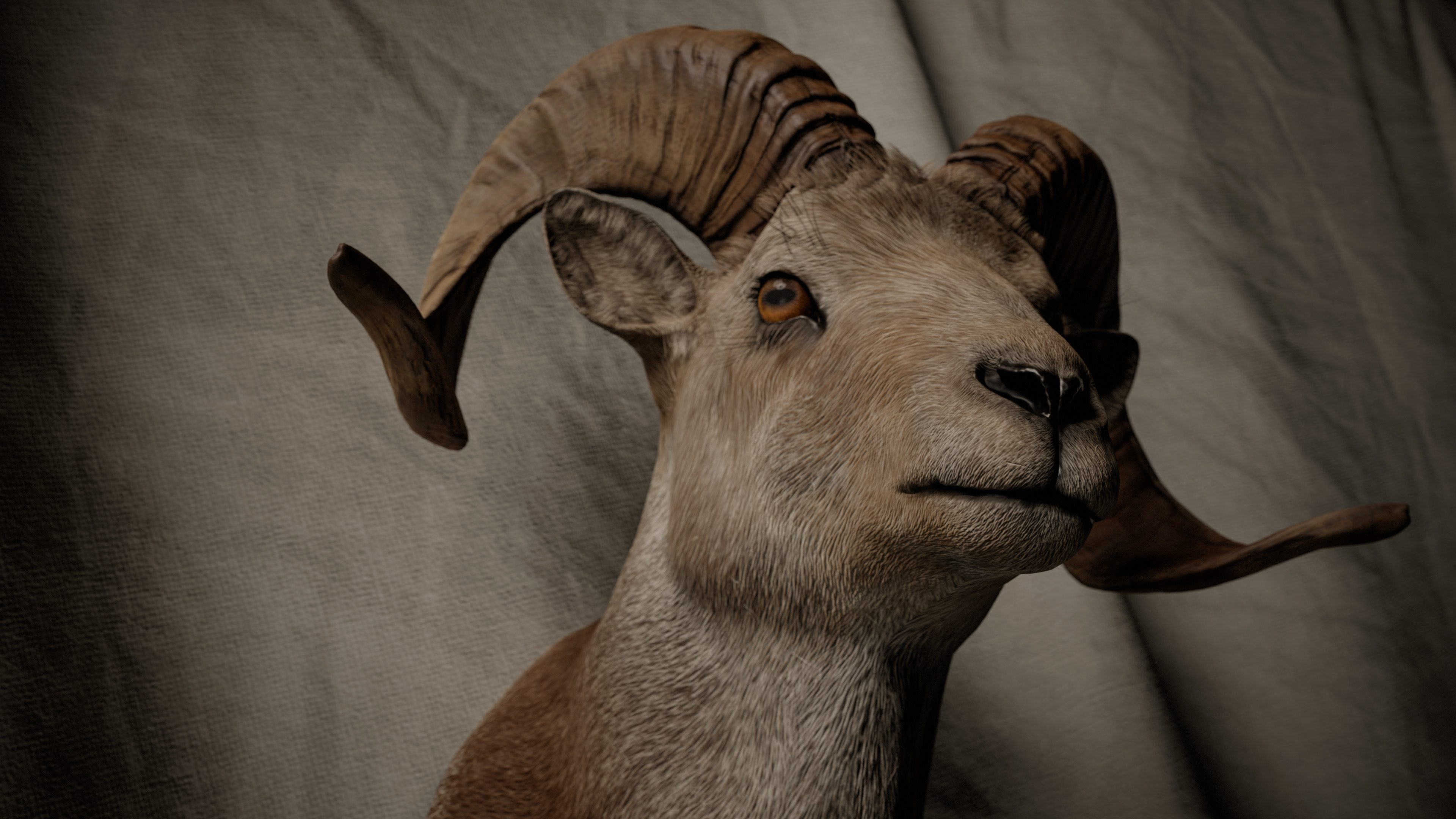 Ram Trophy Head - Photorealistic PBR Low-poly 3D model_3