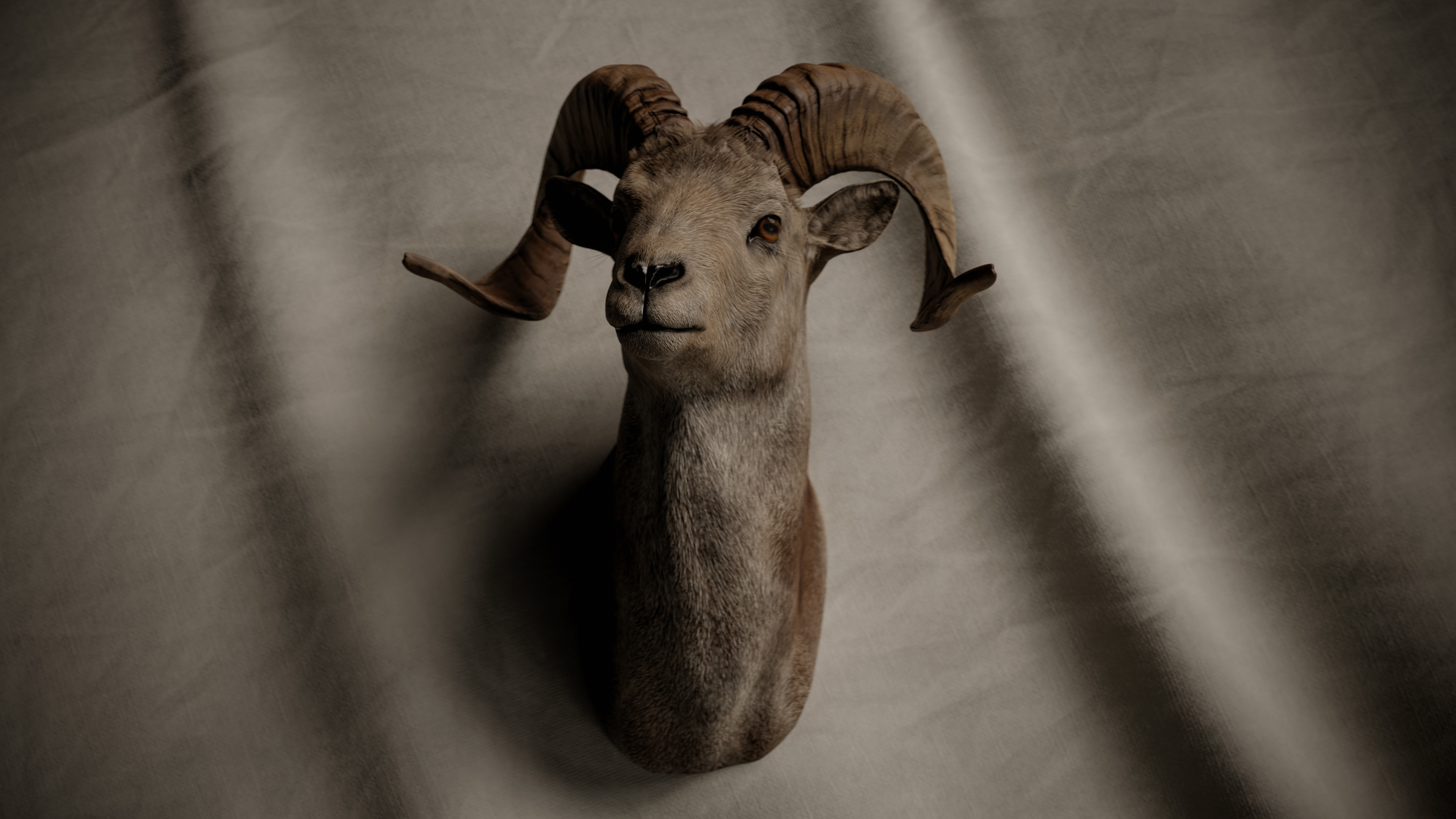 Ram Trophy Head - Photorealistic PBR Low-poly 3D model_2