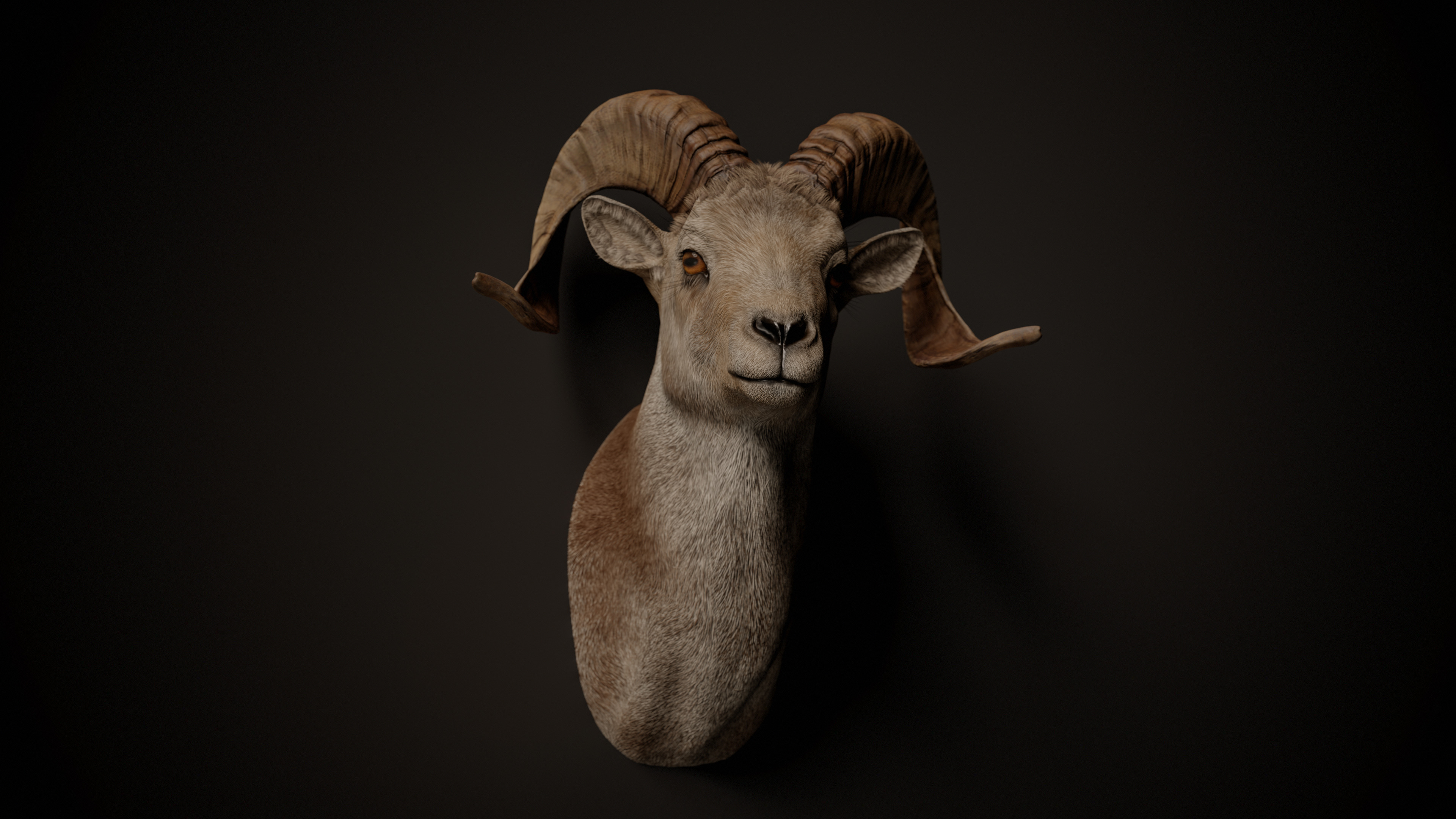 Ram Trophy Head - Photorealistic PBR Low-poly 3D model_5