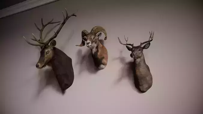 Trophy Head Collection - Pack 2 - Photorealistic PBR 3D model