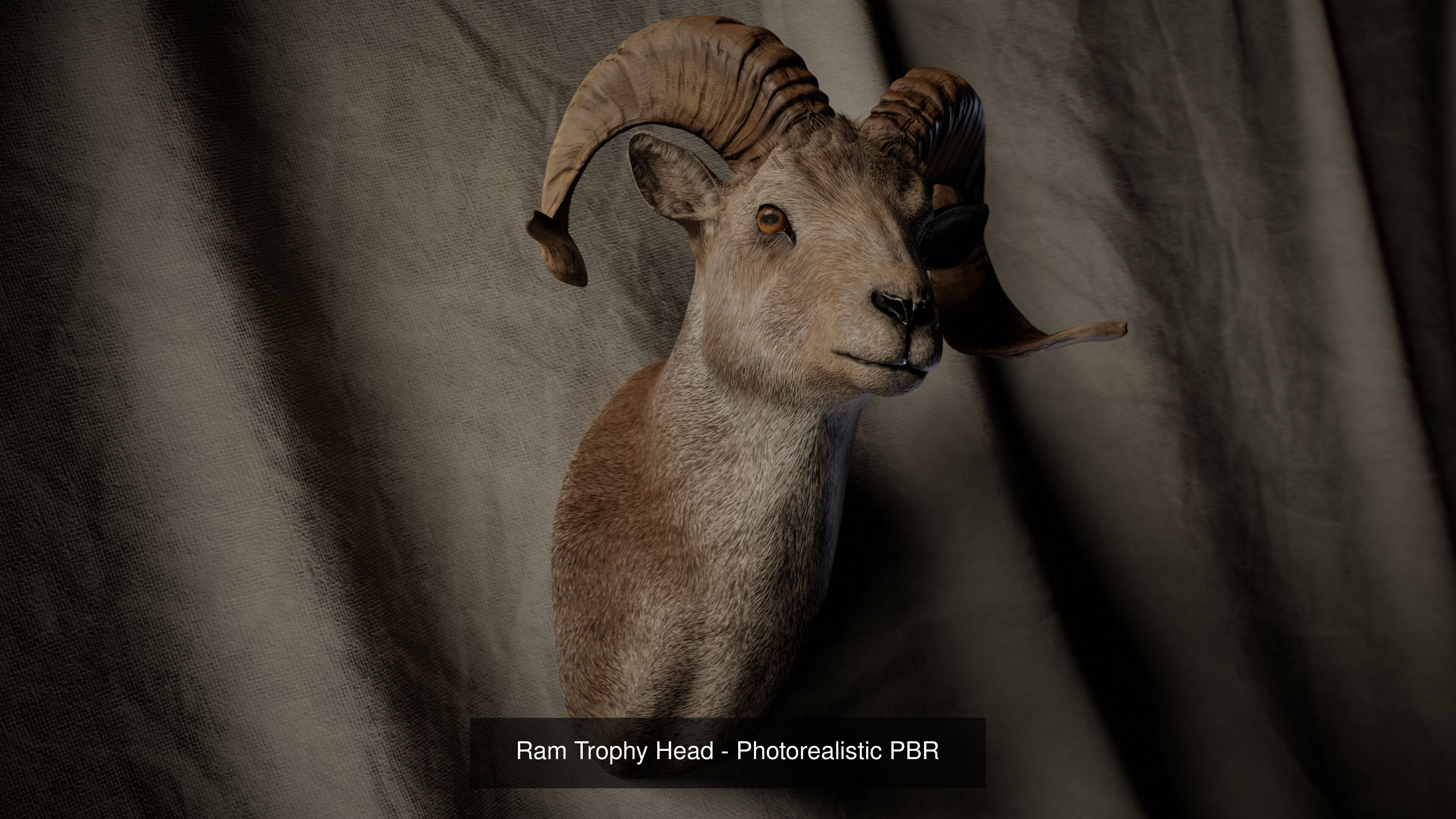 Trophy Head Collection - Pack 1 - Photorealistic PBR 3D Models  _17