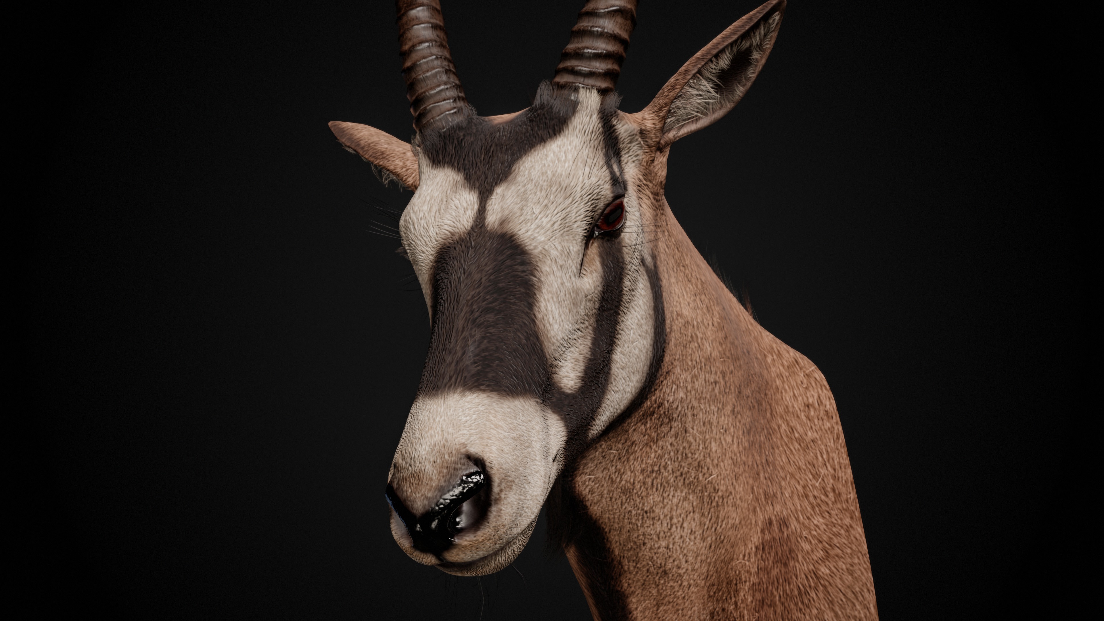 Trophy Head Collection - Pack 1 - Photorealistic PBR 3D Models  _14