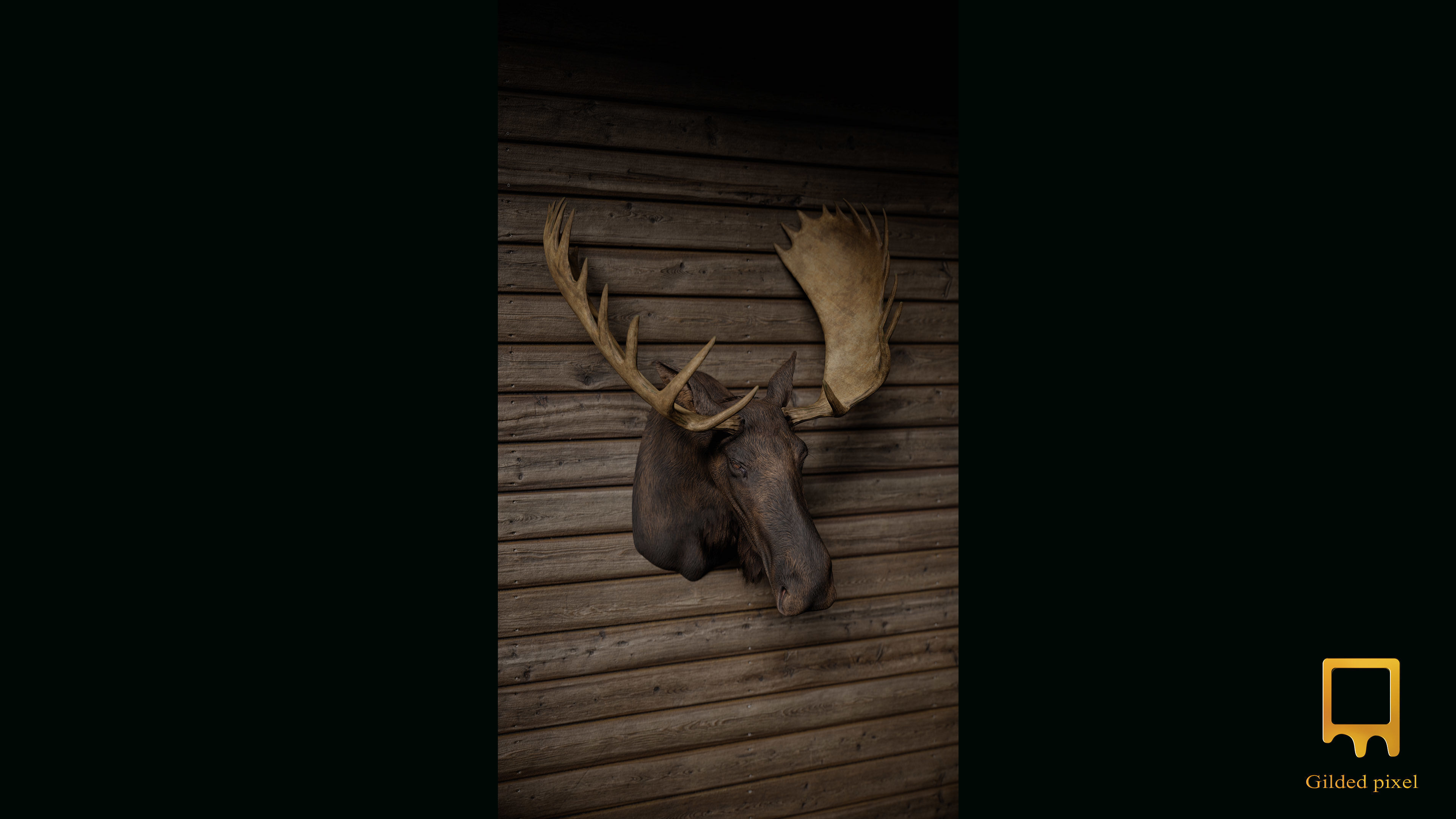Trophy Head Collection - Pack 1 - Photorealistic PBR 3D Models  _10