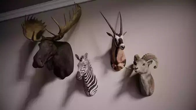 Trophy Head Collection - Pack 1 - Photorealistic PBR 3D Models  