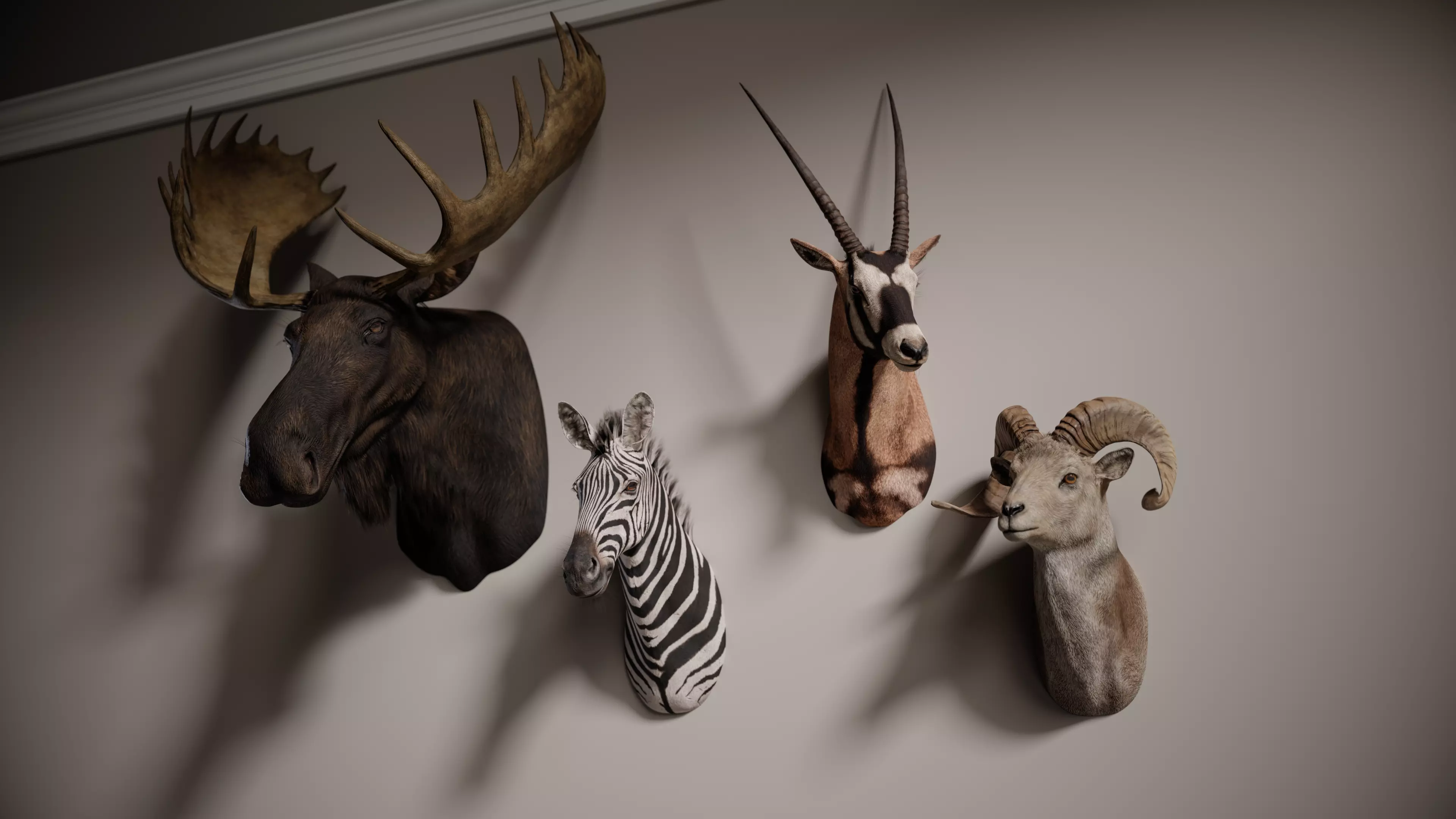 Trophy Head Collection - Pack 1 - Photorealistic PBR 3D Models  _0