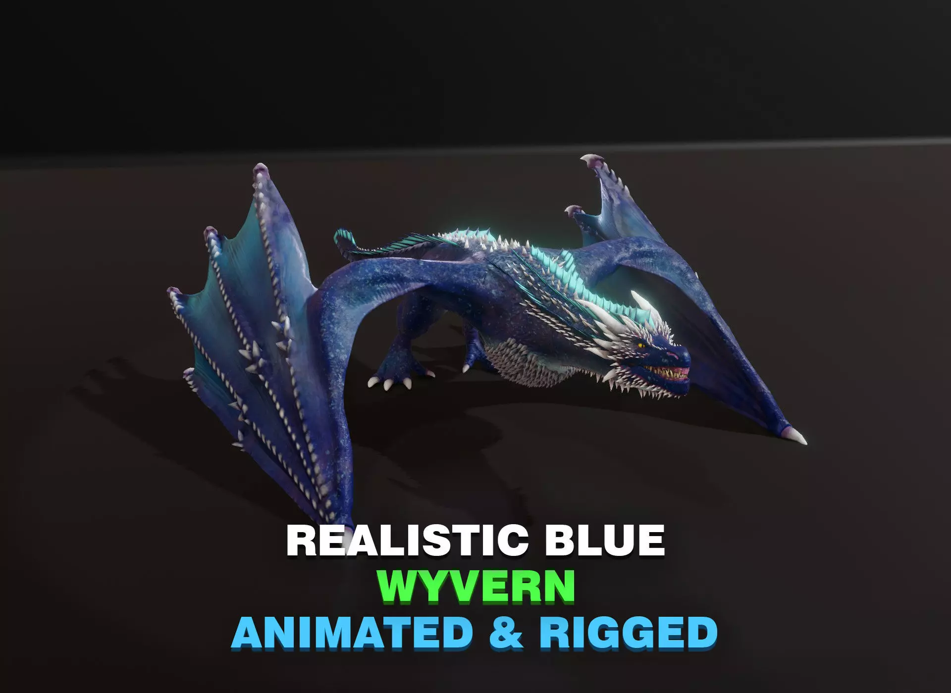 Realistic Blue Wyvern Animated Game-ready 3D Model Low-poly 3D model_0