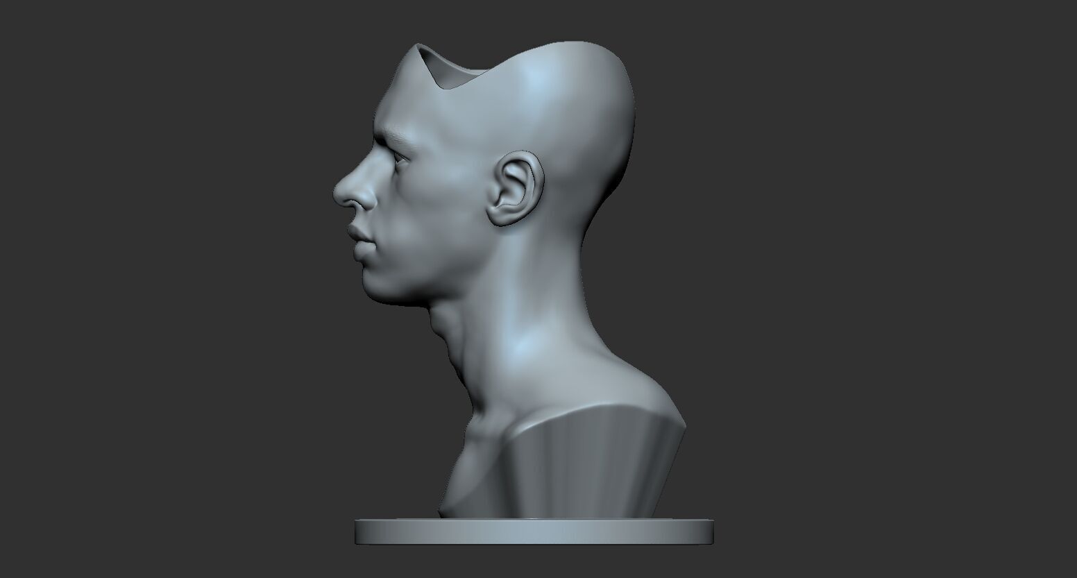 Head vase 3D print model_3