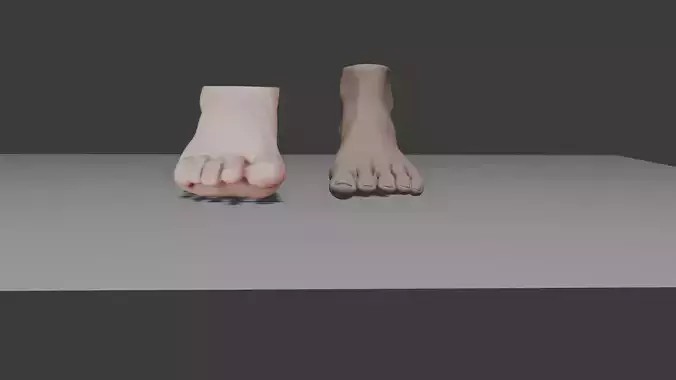 feet 3d model man woman