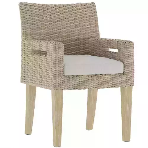 Birch Lane Fleur Outdoor Dining Armchair with Cushion