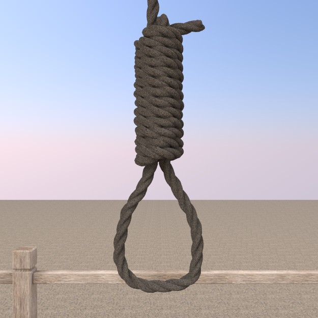 Hangman Noose and Gallows Low-poly 3D model_1