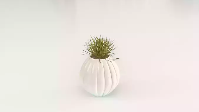 Decorative Porcelain Vase Small