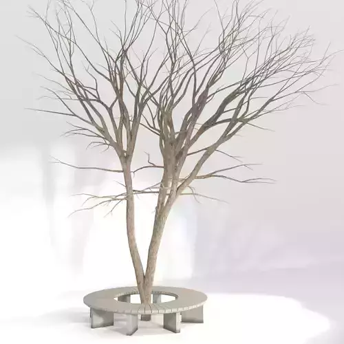 Tree Bench