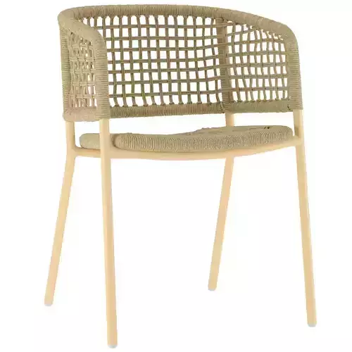 TOV Furniture Niel Oak Finish Outdoor Dining Chair