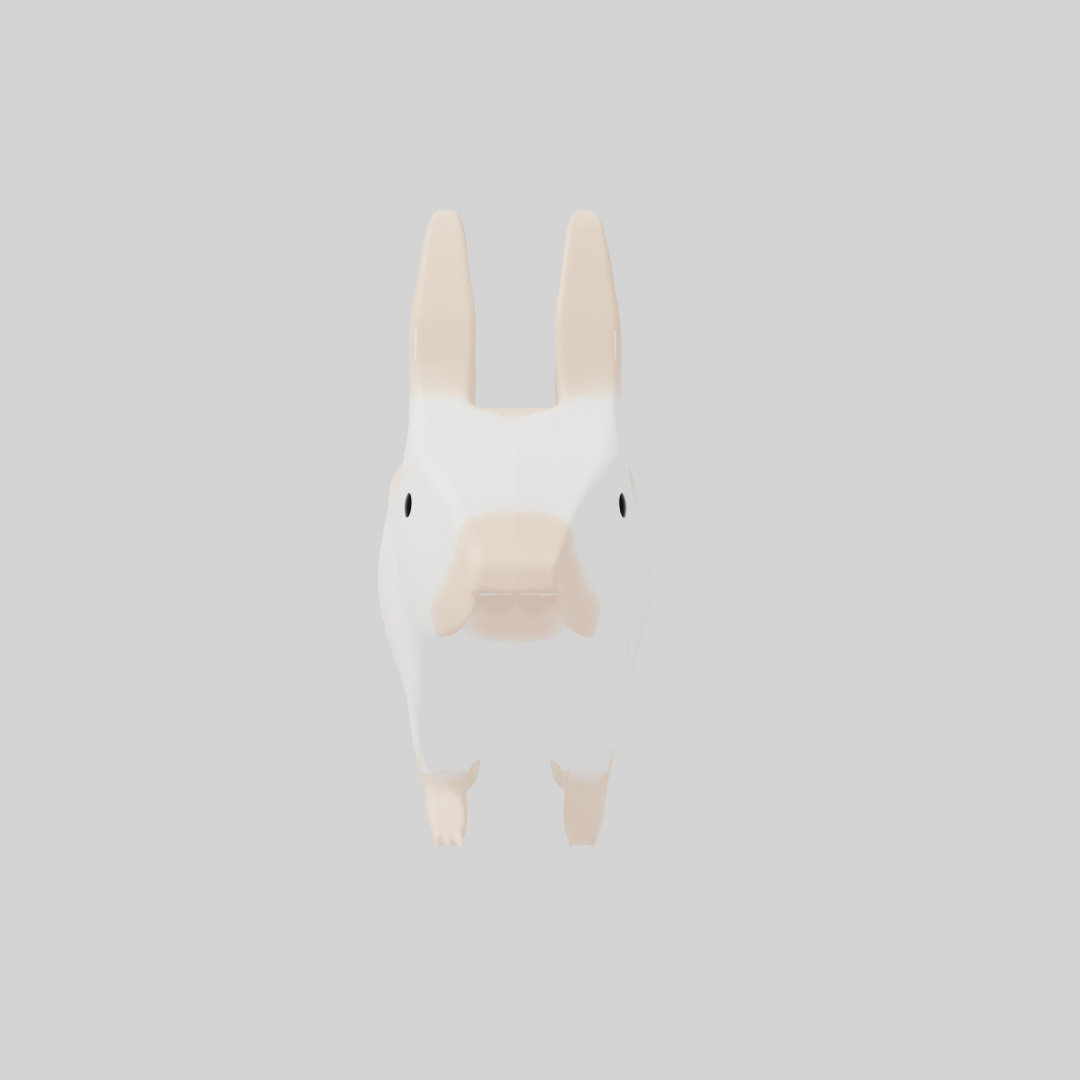 Rabbit 3D model_4