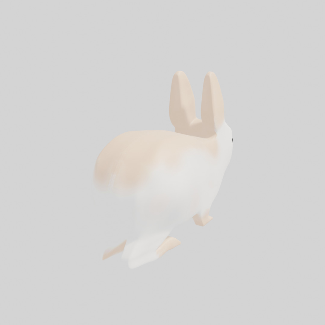 Rabbit 3D model_1
