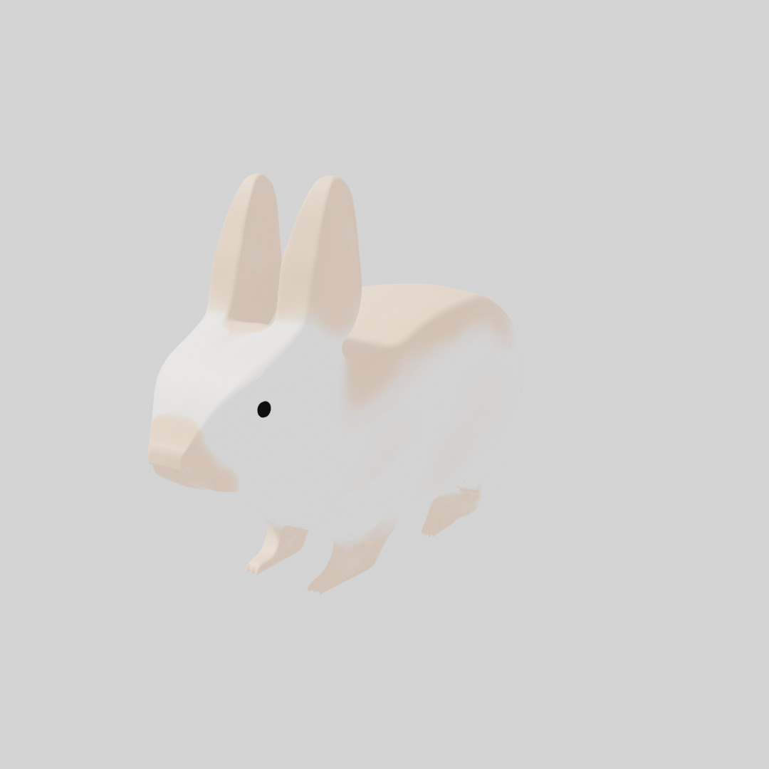 Rabbit 3D model_3