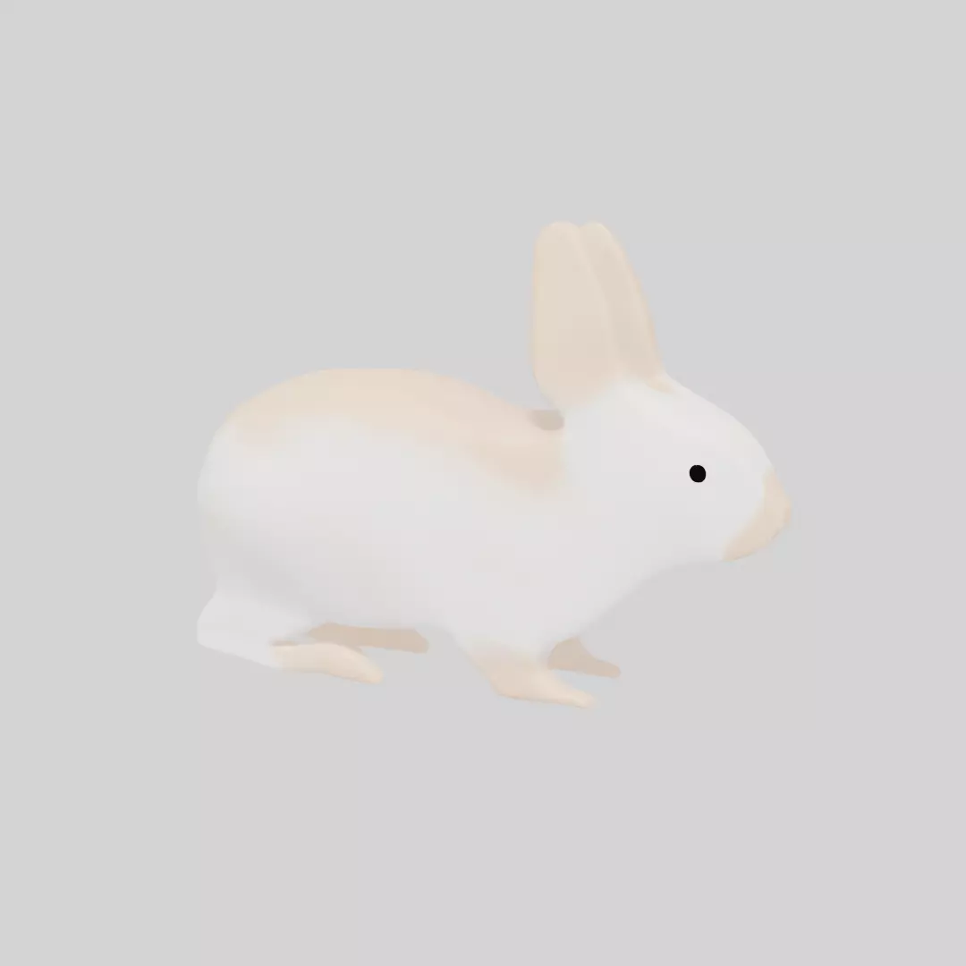 Rabbit 3D model_0