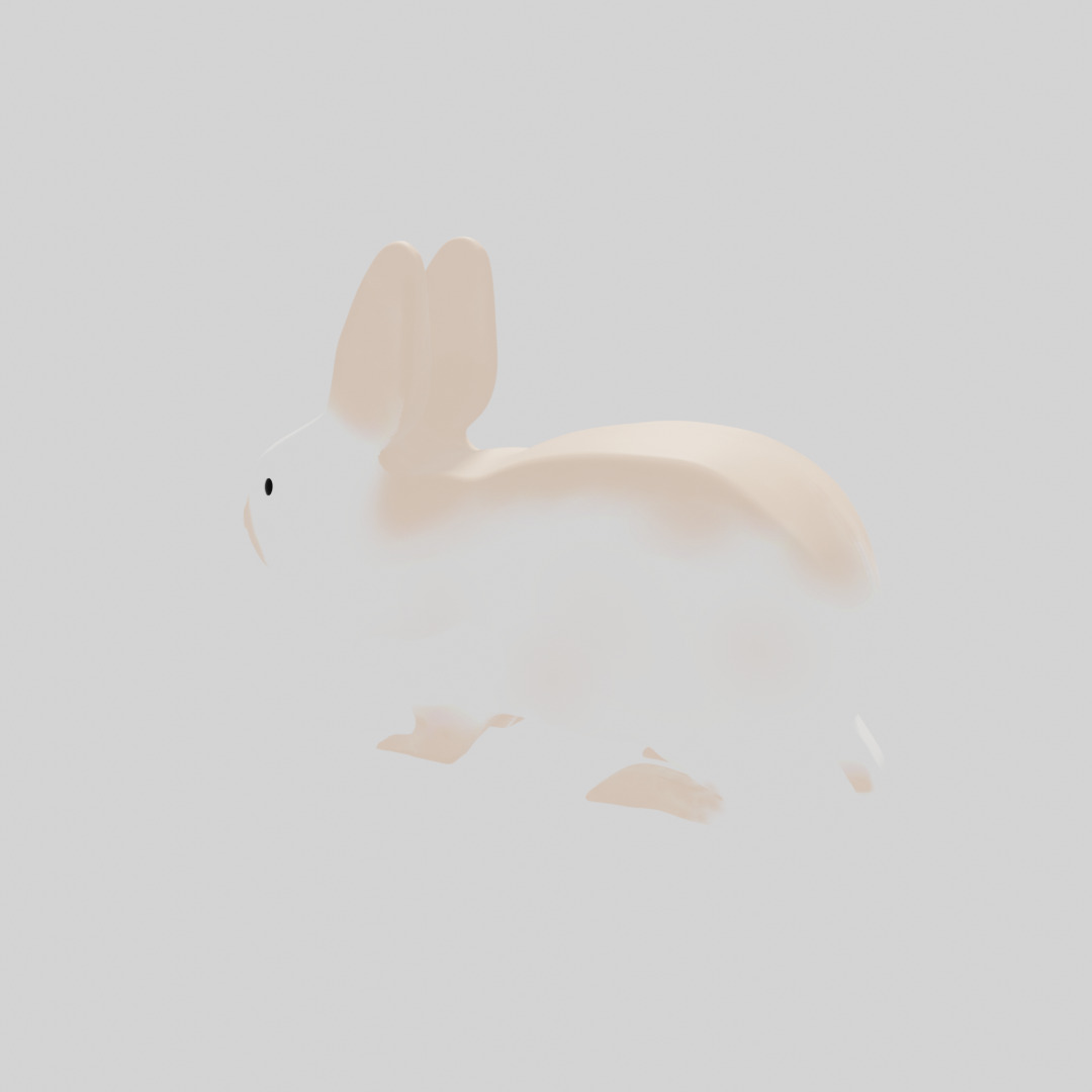 Rabbit 3D model_2