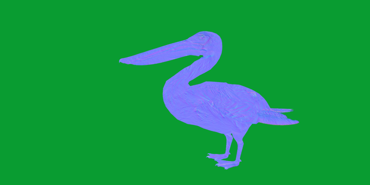 Pelican Bird Low-poly 3D model_8